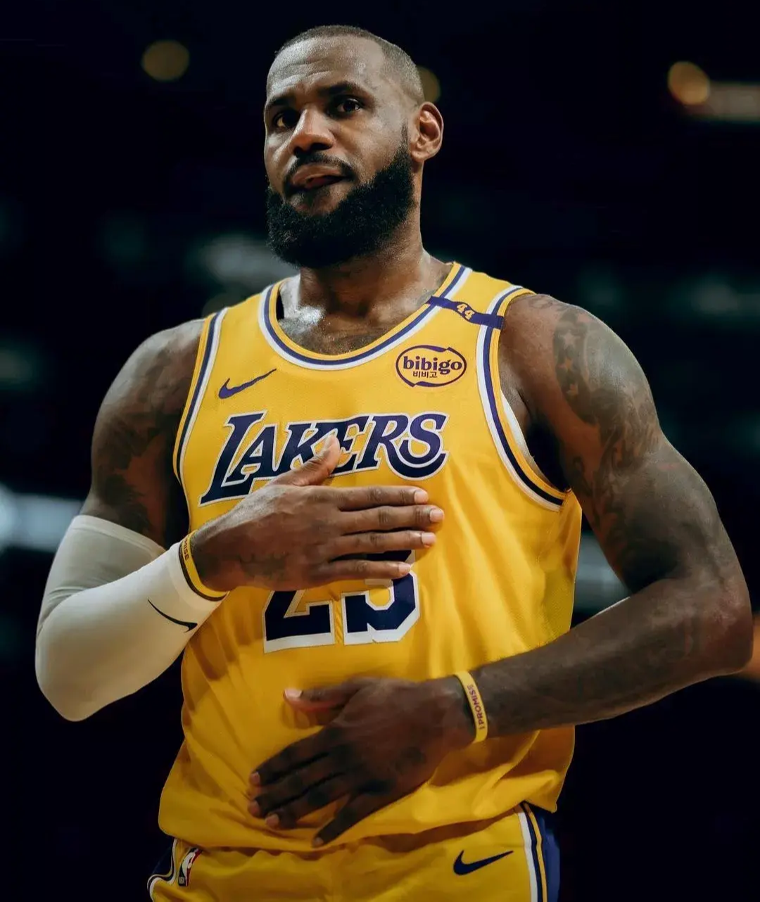 灰熊血洗热火B队,詹姆斯制霸全场 灰熊血洗热火B队,詹姆斯制霸全场