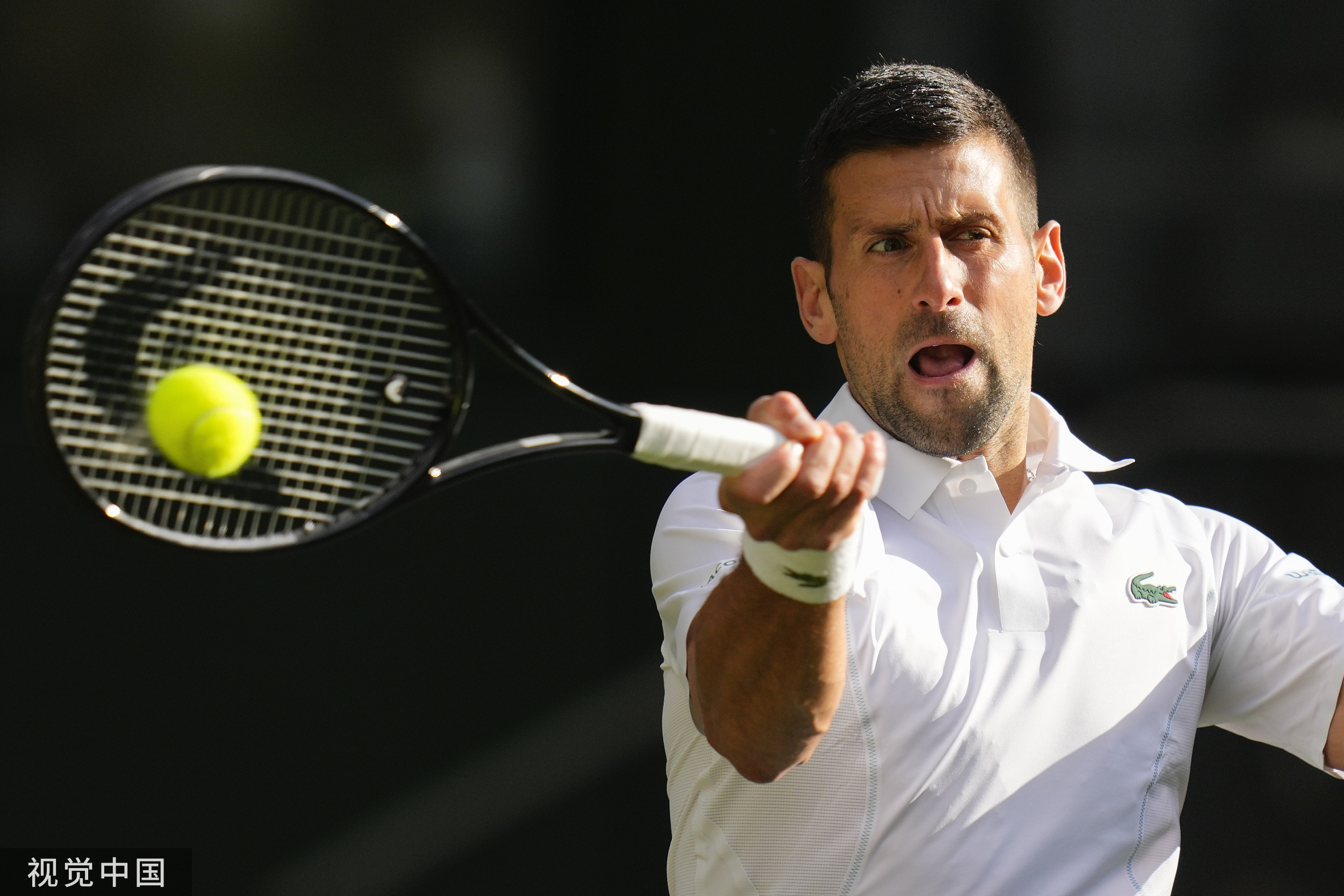 美网完胜温网,德约科维奇状态火热 美网完胜温网,德约科维奇状态火热