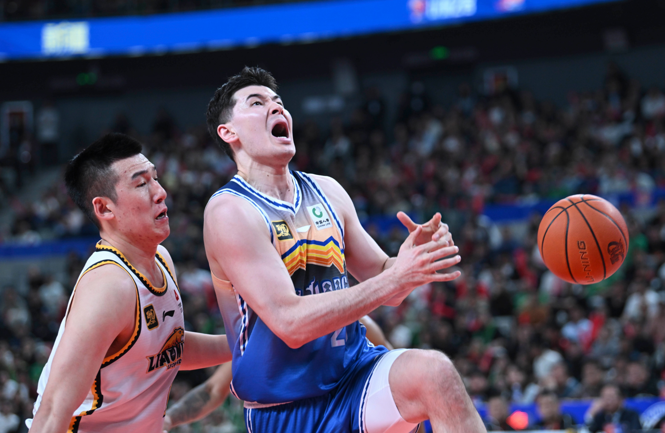 关于鹈鹕轻取北京队，赵继伟关键制胜的信息