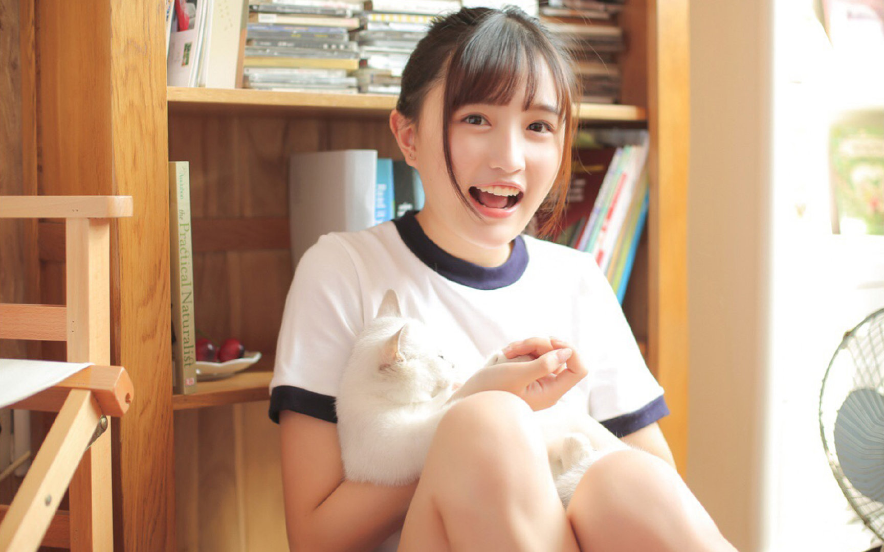 双城记,当英伦风暴席卷巴黎,东方利剑刺破苍穹