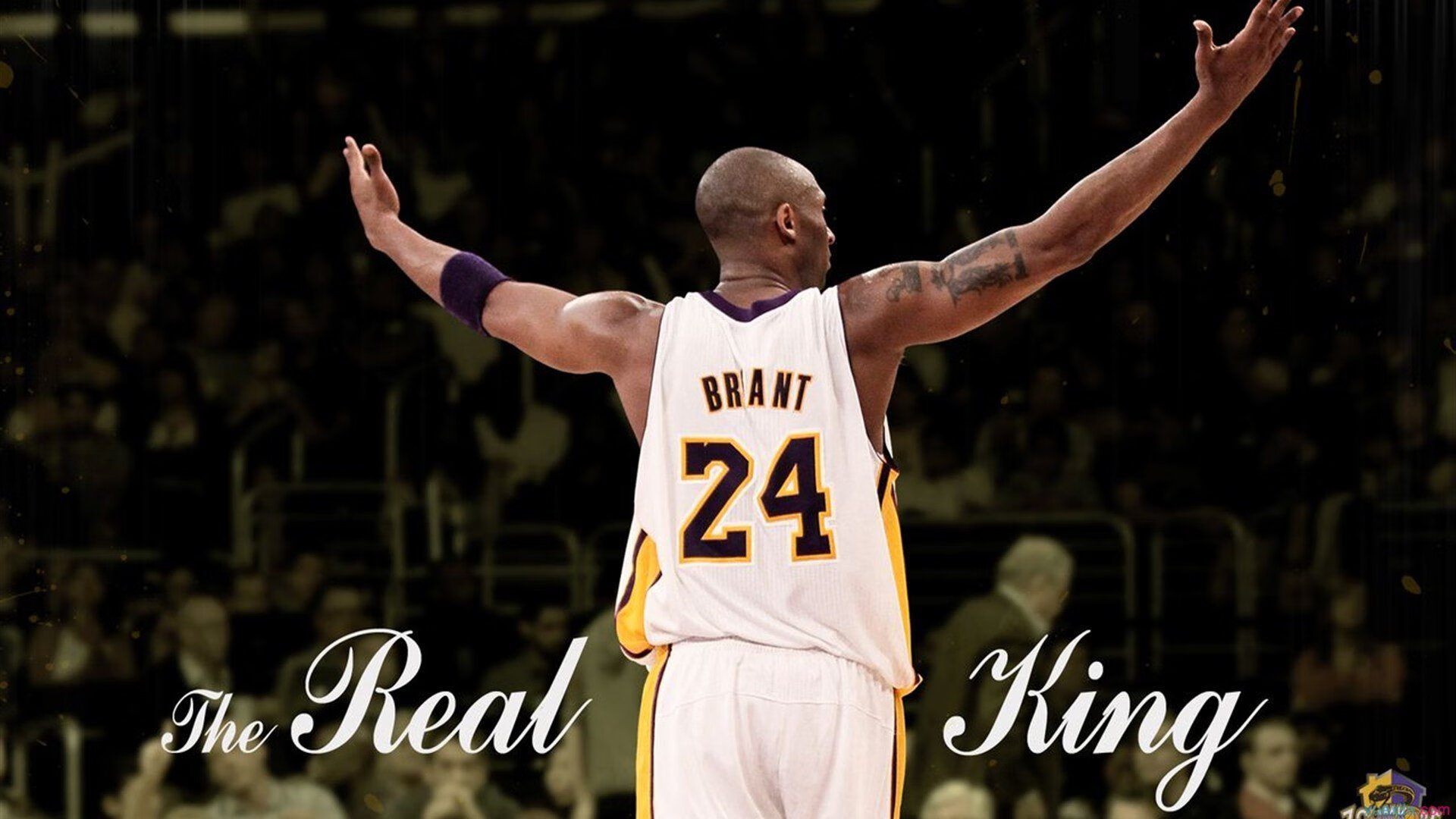 烈焰焚雪,蒂亚戈一箭定江山,南美烈焰熔断北欧寒铁