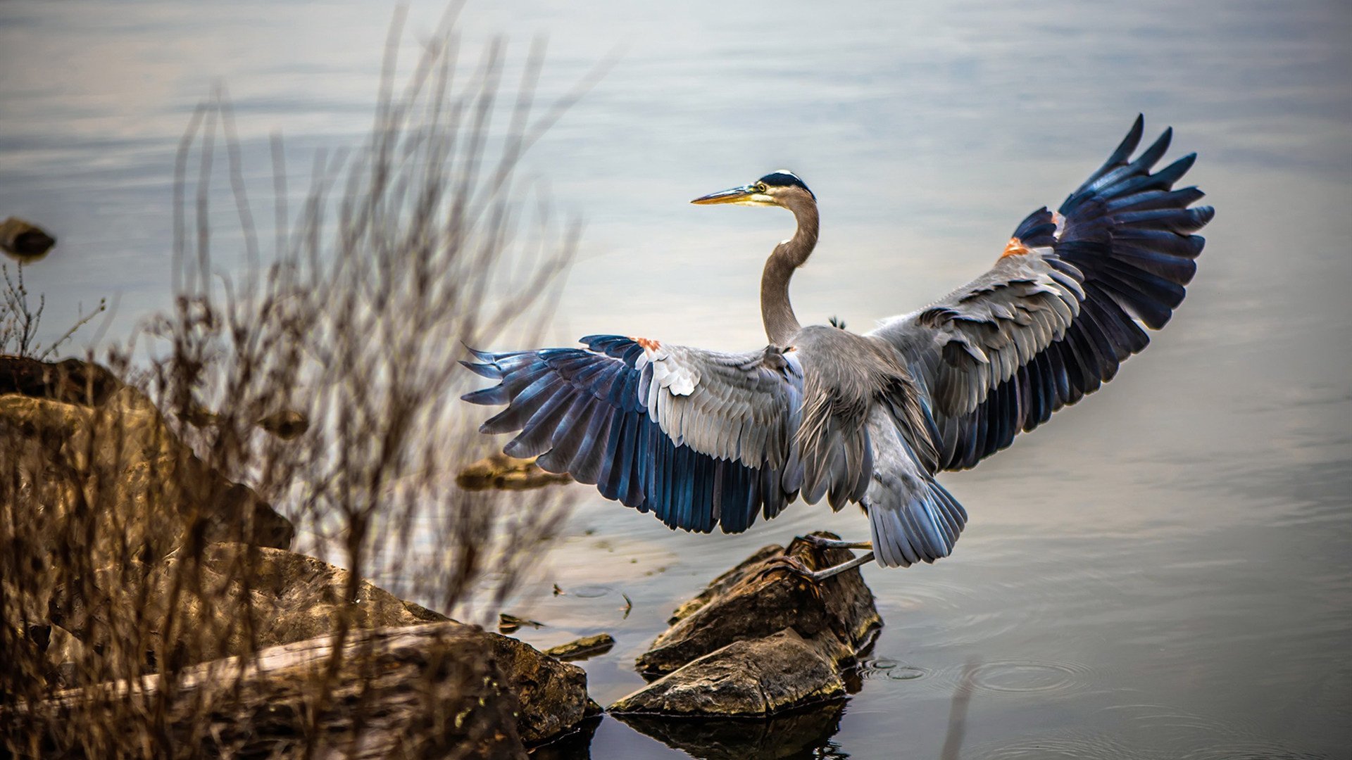 大放异彩!马来西亚队轻取泰国队,郑思维场内外两开花