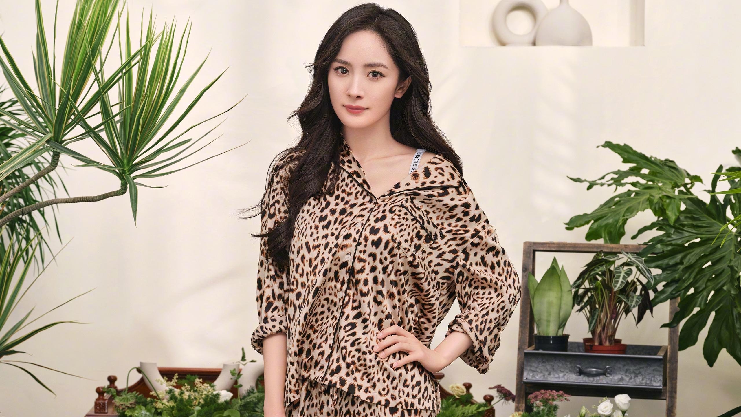 奥地利大奖赛，F1年度争冠的‘单节拉开’与克罗地亚的坚韧启示