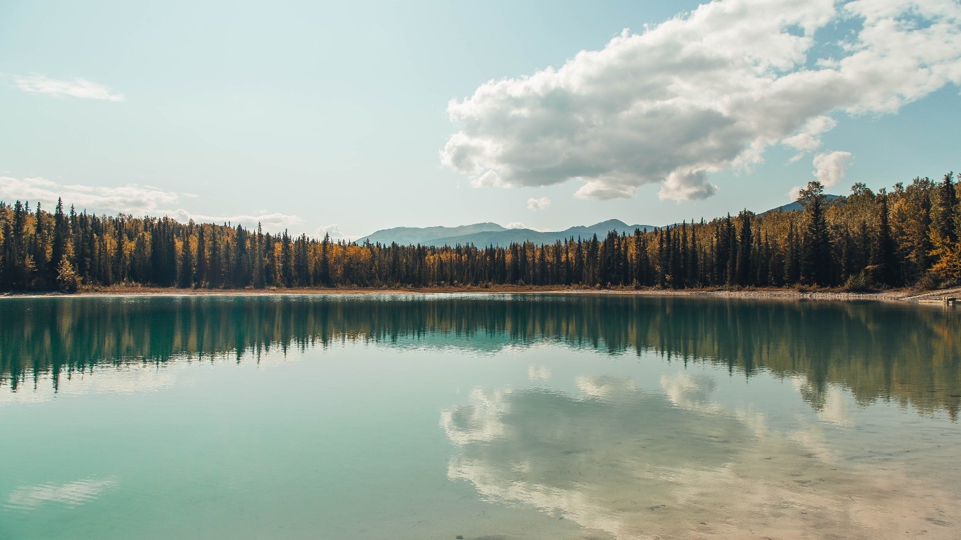 惊天冷门，跨越大洋的羽翼如何撕裂王朝—当老鹰终结广东，杰伦·格林统治全场