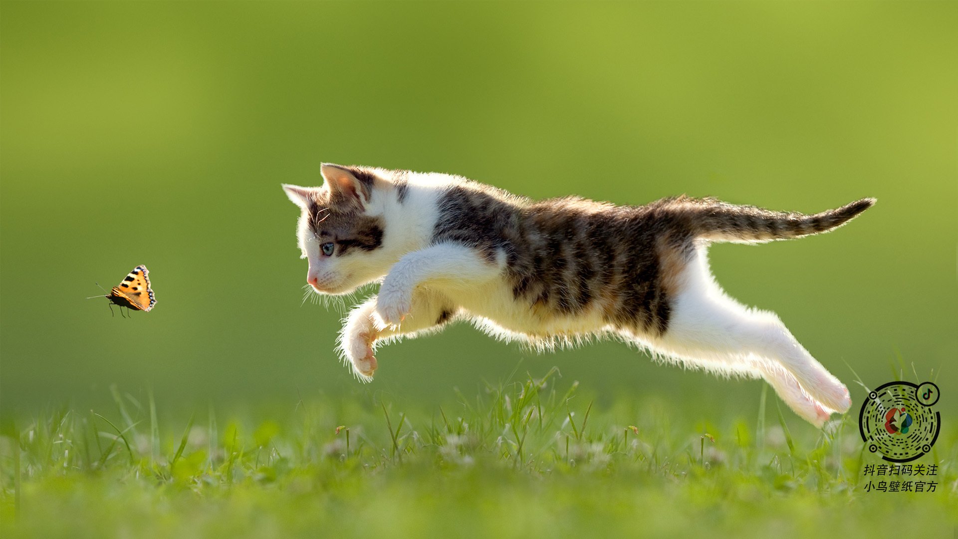 唯一的夜，当国家德比化身黑暗剧场，福登的聚光灯亮起