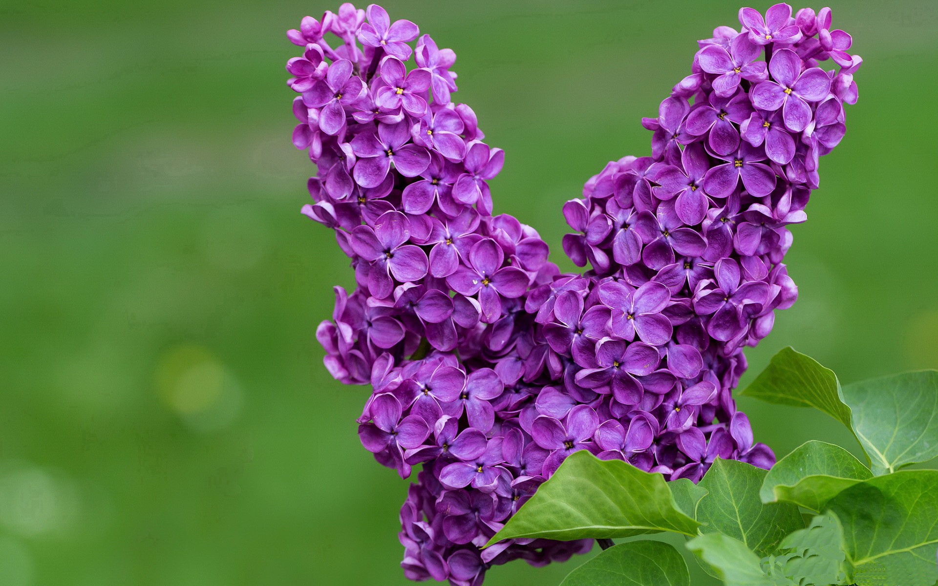 红潮风暴，伊朗闪电战终结卡塔尔王朝的年度焦点之战