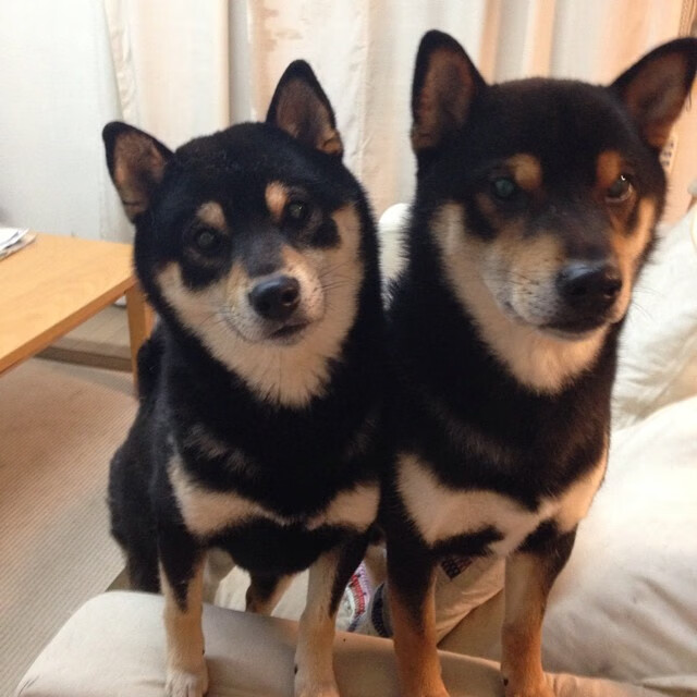 真实世界电竞模式，维尼修斯稳定输出不掉线，巴黎系统流打穿乌拉圭铁桶阵