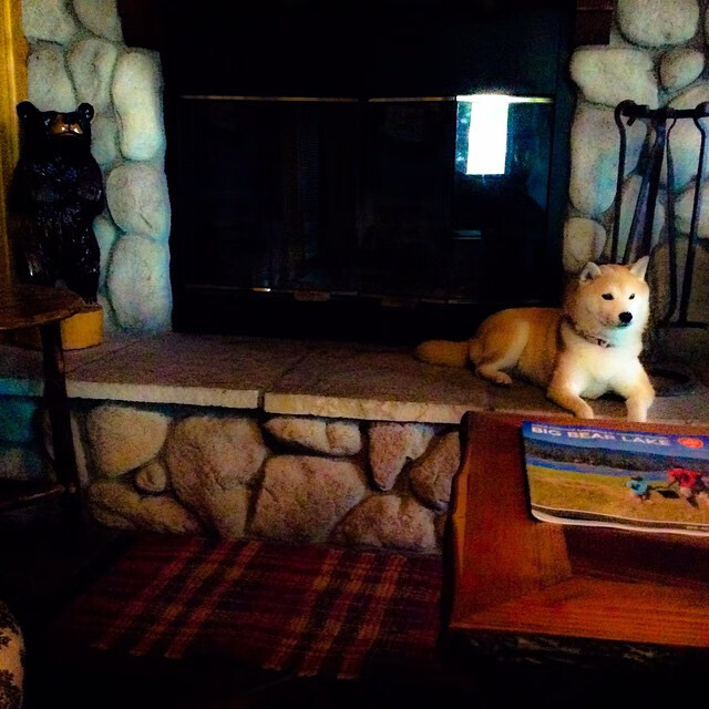 森林狼群撕碎王权，麦克丹尼尔斯与沃克的锁链，戈贝尔的叹息之墙