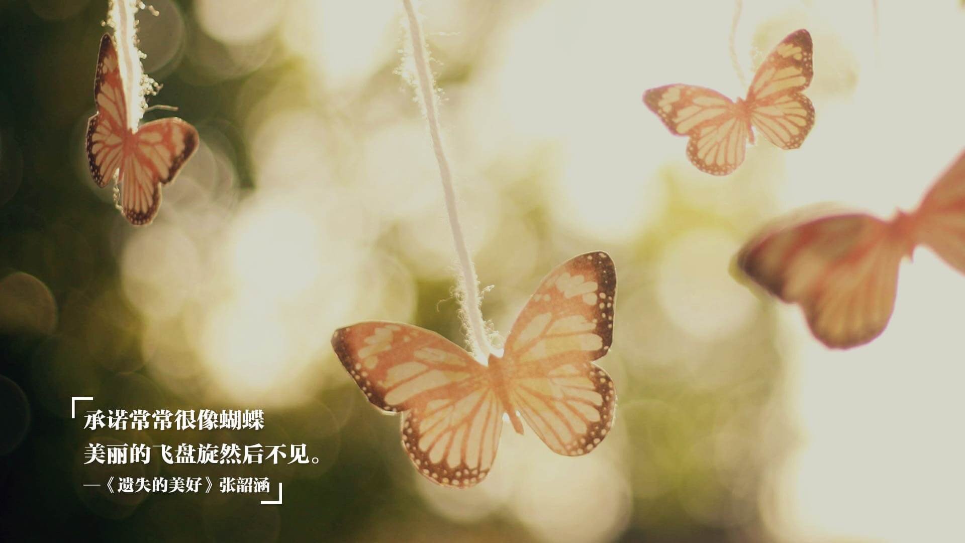 血脉压制!西决生死战变惨案,广厦一波流带走深圳,死神降临时刻