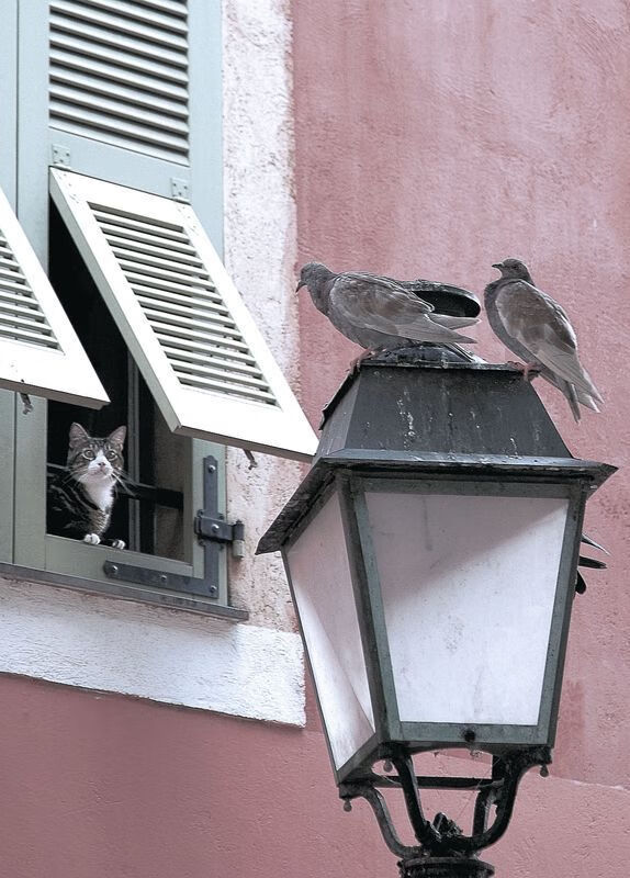 双城记，西甲德比狂澜与天山脚下的逆袭之战