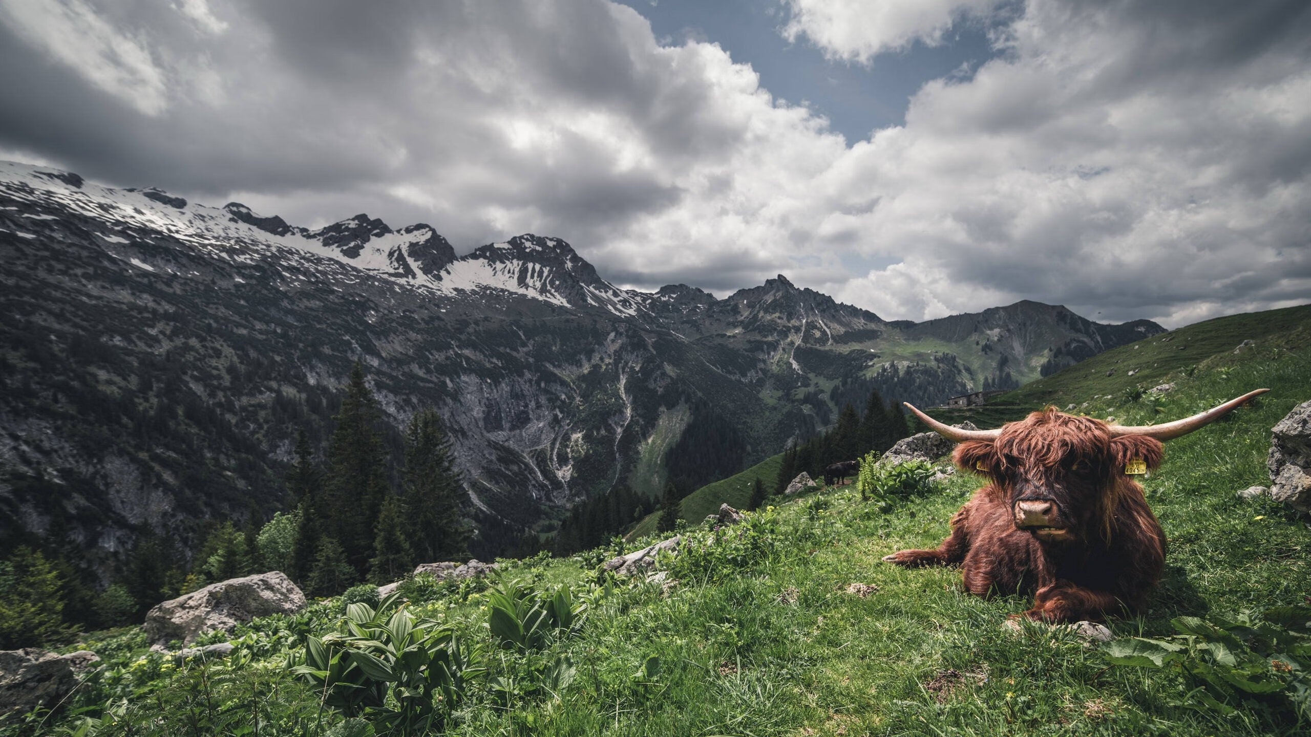 第三节30秒12分！哈登神罚时间击穿老鹰，辽宁精神照亮费城夜空