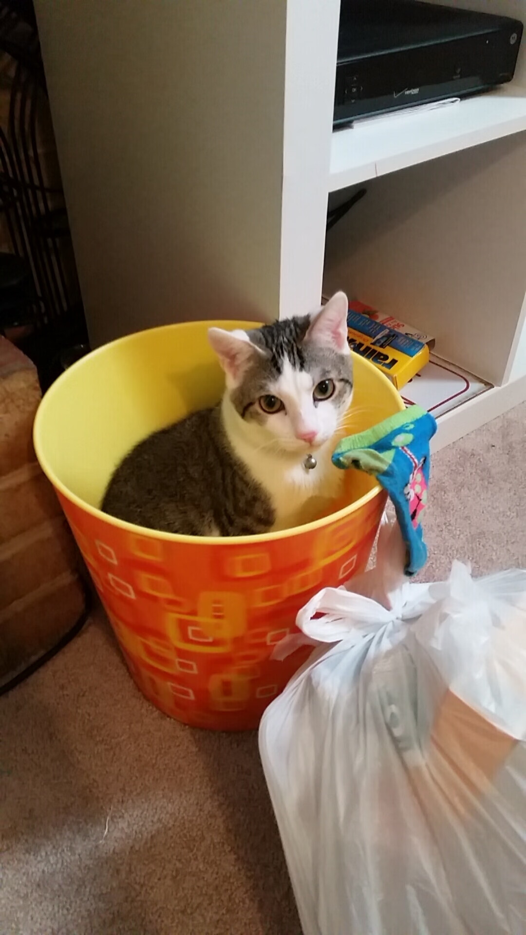 看不见的胜负手，当伦纳德的阴影笼罩玫瑰花园