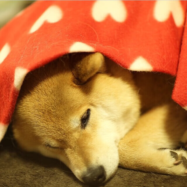 从0到英雄，罗德里奥运周期关键战的个人史诗与加纳惊天逆转