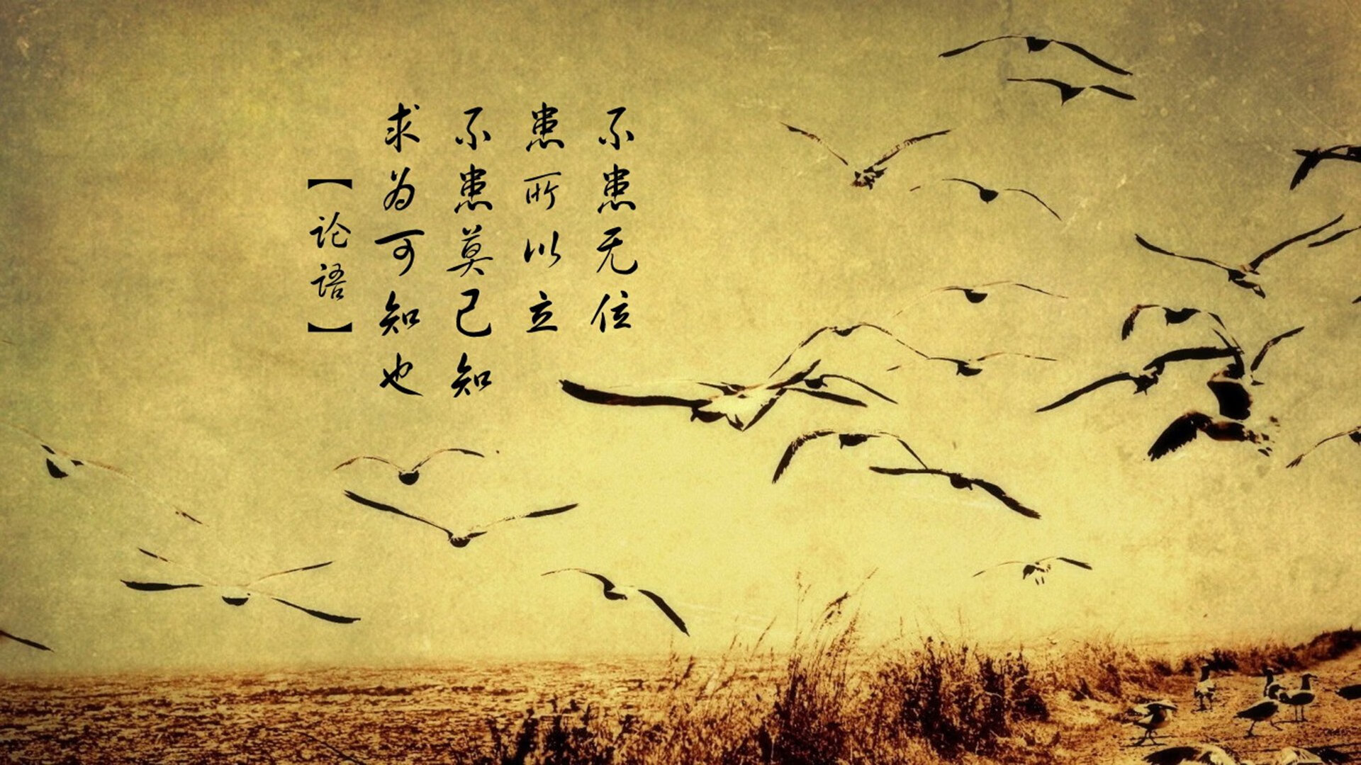 硬仗王觉醒！西亚卡姆0.8秒神迹扼杀国王，黄蜂险胜藏蜕变密码