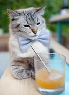 约基奇式绝杀,当关键先生在300毫秒内改写两场历史