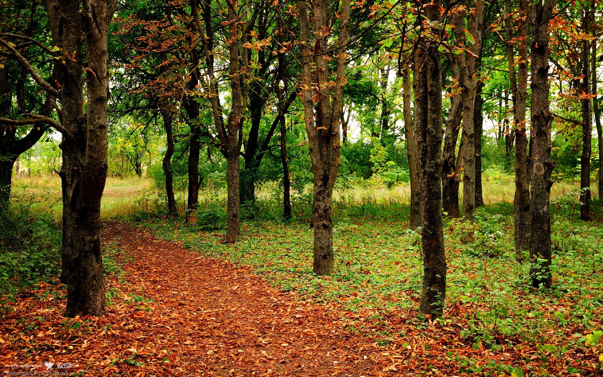 破界之控,当萨拉赫在毕尔巴鄂的雨夜执掌威尔士的命运