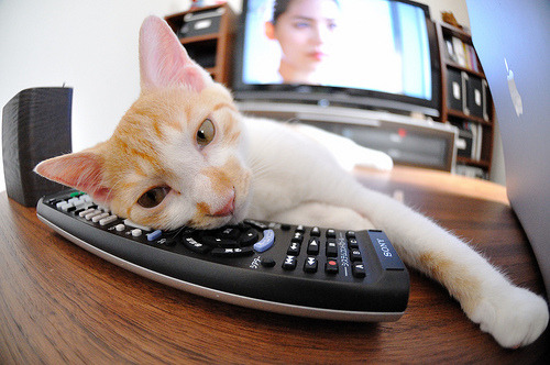 绝境之王，米切尔最后93秒导演热火惊天逆转