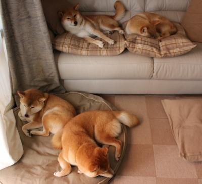 极速弯道与热血拼杀,当F1街道赛的精密遇上篮球场的血性