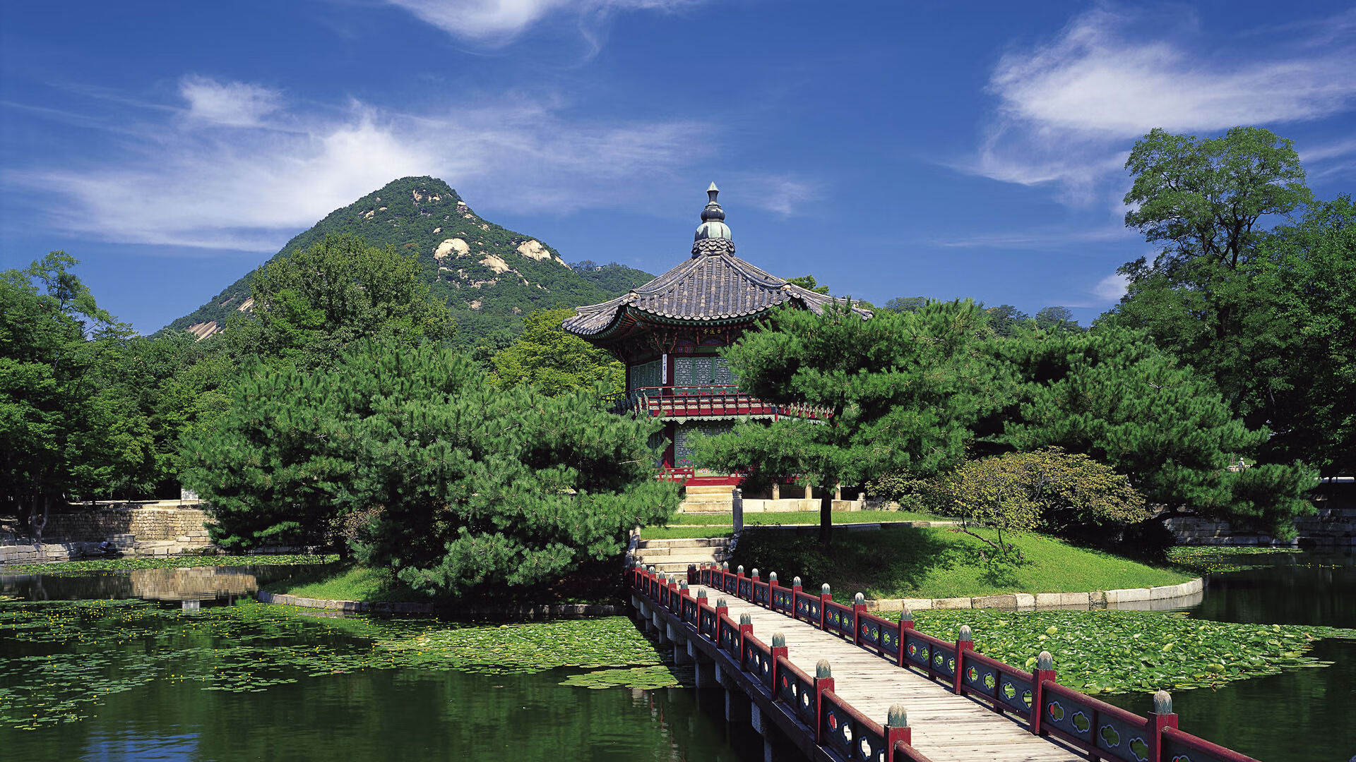 恒河热浪吞没东欧铁骑，2026世界杯，印度完胜波兰，哈兰德化身冷血杀手主导生死战