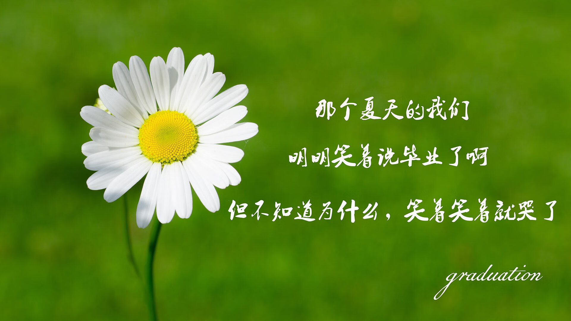 佩德里执掌中场权杖,临场妙手扭转乾坤—哥伦比亚碾压乌拉圭,2026世界杯复仇之战完美收官