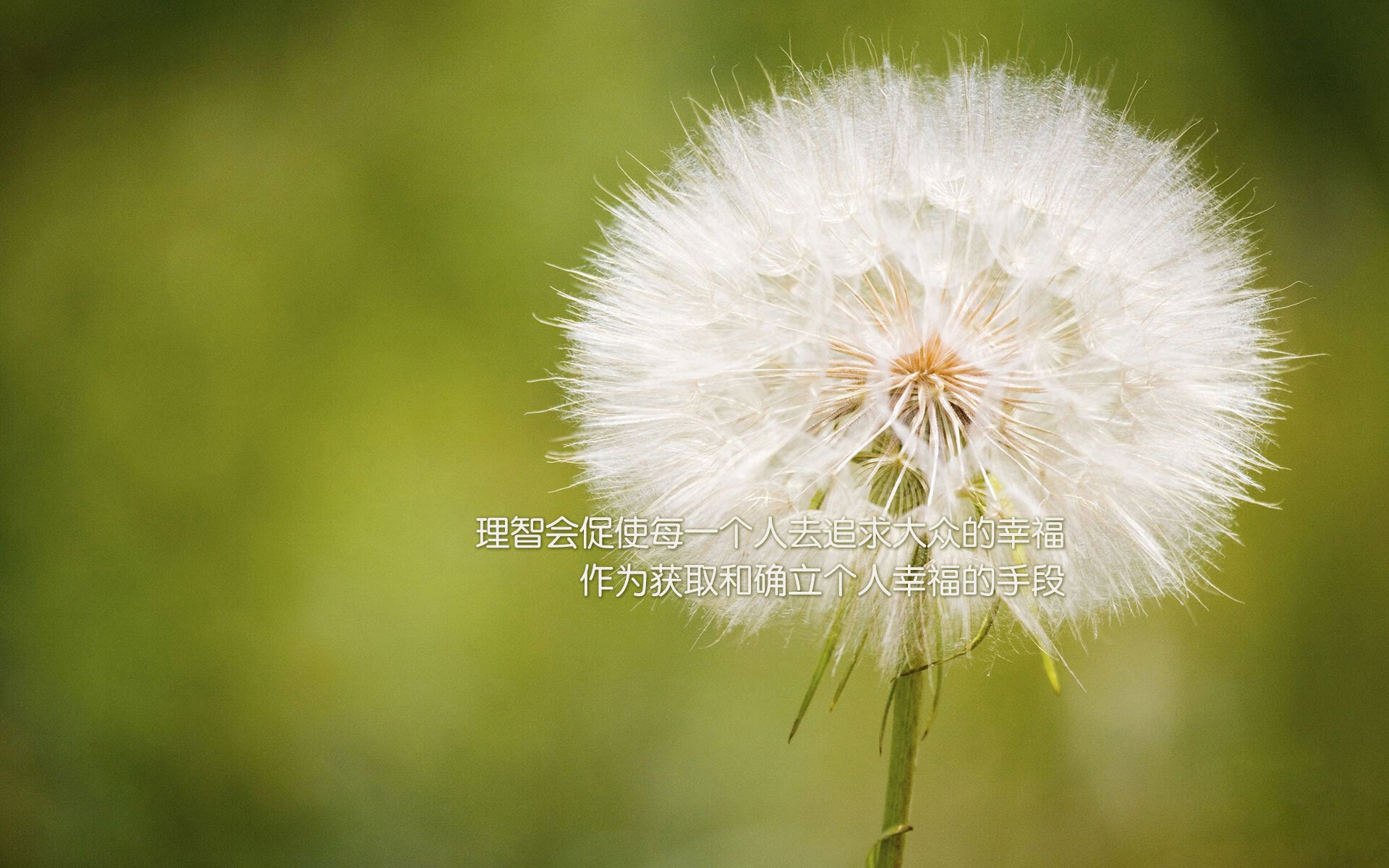 红白狂潮,当阿尔卑斯的战车碾过童话王国—B费如何用一脚传球,改写了2026世界杯的剧本