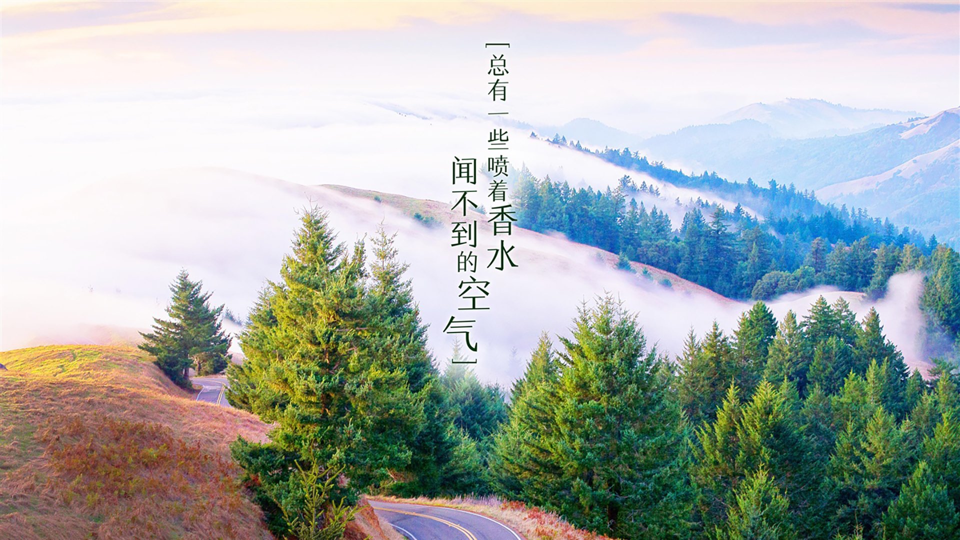 蓝衣风暴,2026世界杯G组生死战,印度闪电压制英格兰,范戴克铁血调度引领橙衣军流畅逆转